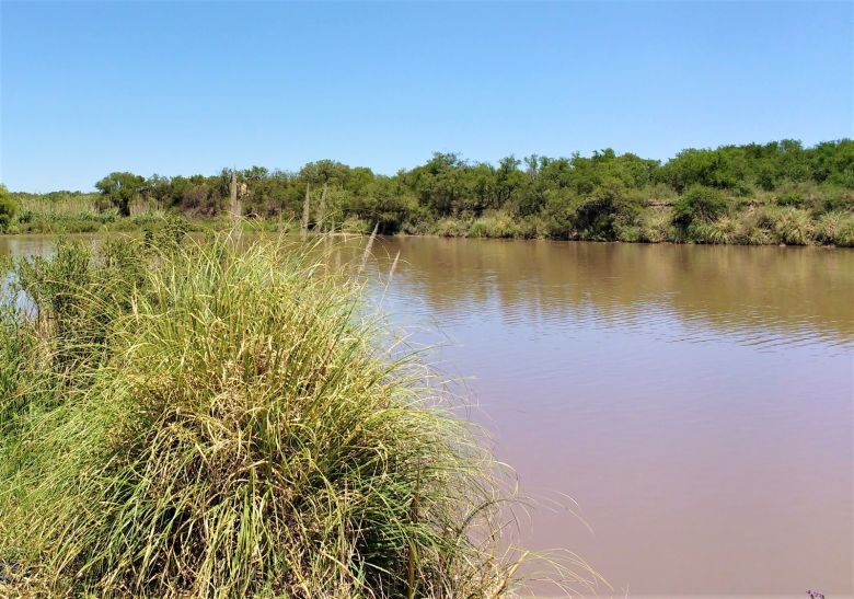 Impulso para la Reserva Natural de Río Cuarto Chocancharava: Buscan gestionar mayores recursos